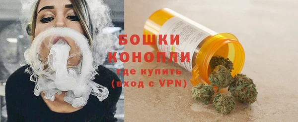 твердый Инта