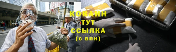 твердый Инта
