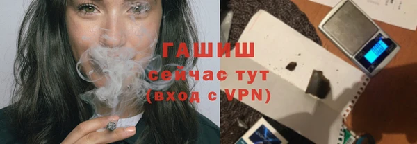 твердый Инта