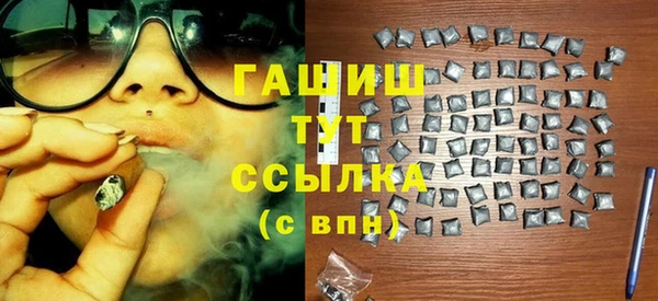 твердый Инта