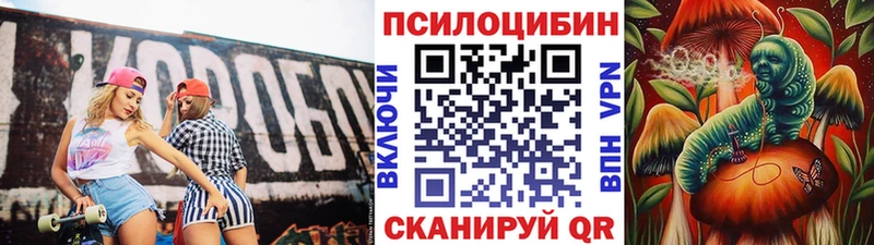 Купить где  Кирово-Чепецк  Псилоцибиновые грибы Cubensis 